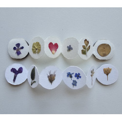 Button Books