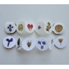 Button Books