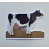 Spotted Cow