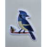Bluey