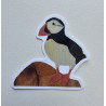 Puffin