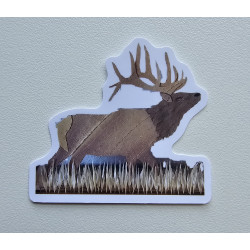 Elk