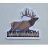 Elk