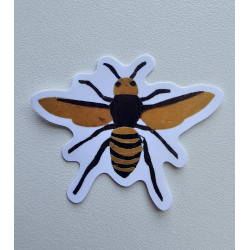 Killer wasp