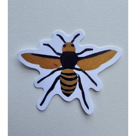 Killer wasp