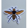 Killer wasp