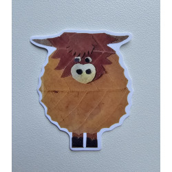 Cows