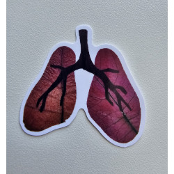 Lungs