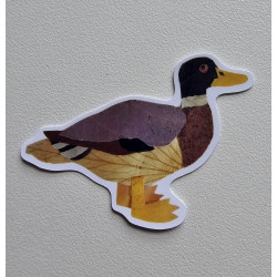 Duck