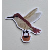 Hummingbird Package