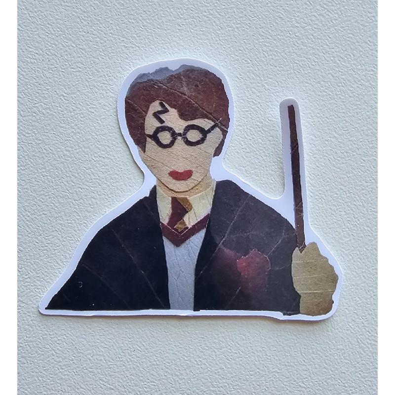 Harry Potter